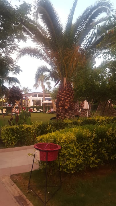 Gartenanlage Belek Beach Resort Hotel