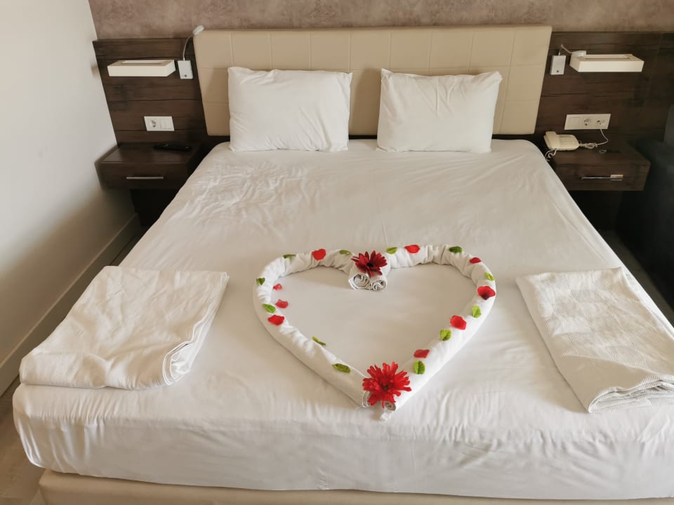 Zimmer Gold Island Selected