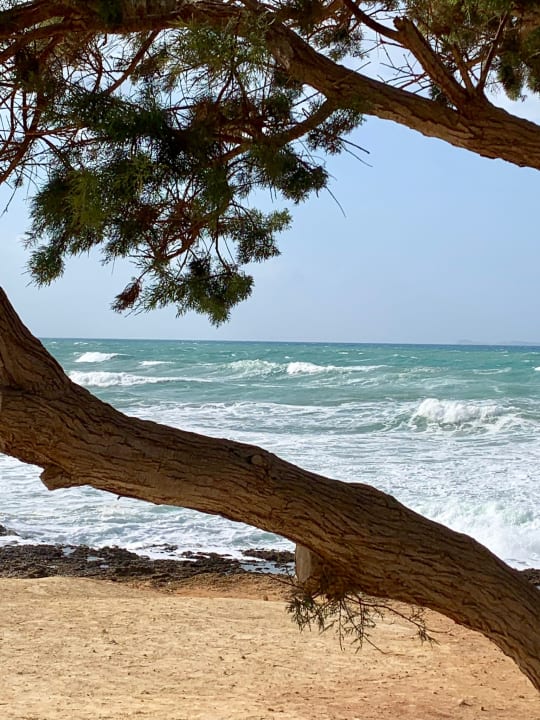 Ausblick Vasia Royal Hotel