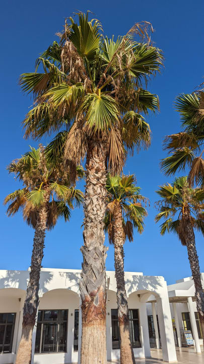 Außenansicht Atlantica Plimmiri