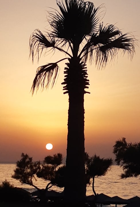 Ausblick Rethymno Palace