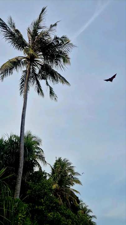 Außenansicht Jawakara Islands Maldives