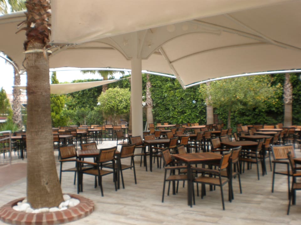 Poolbar  am Restaurant Hane Family Resort