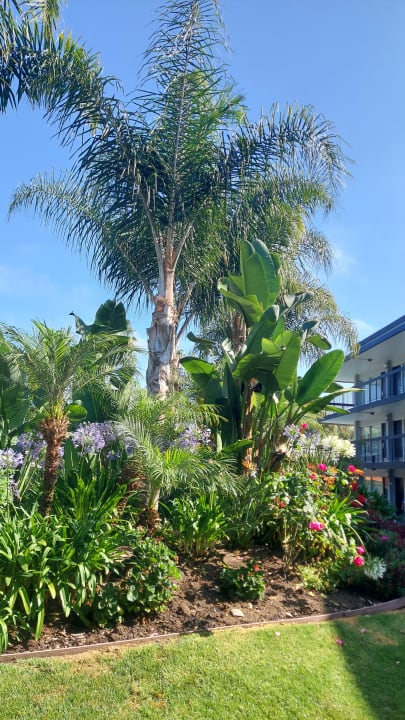 Gartenanlage Palm Garden Hotel