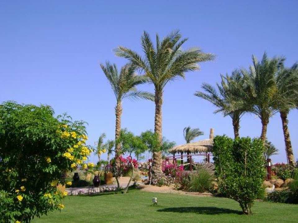 Территория отеля Regency Plaza Aqua Park & Spa