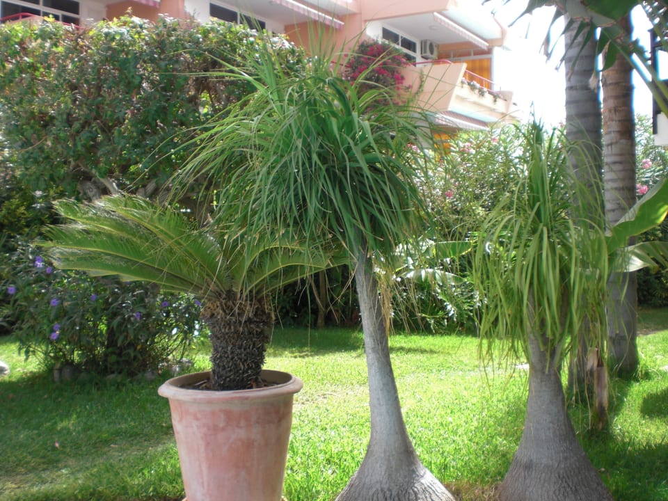 Exteriores Hotel Taboga