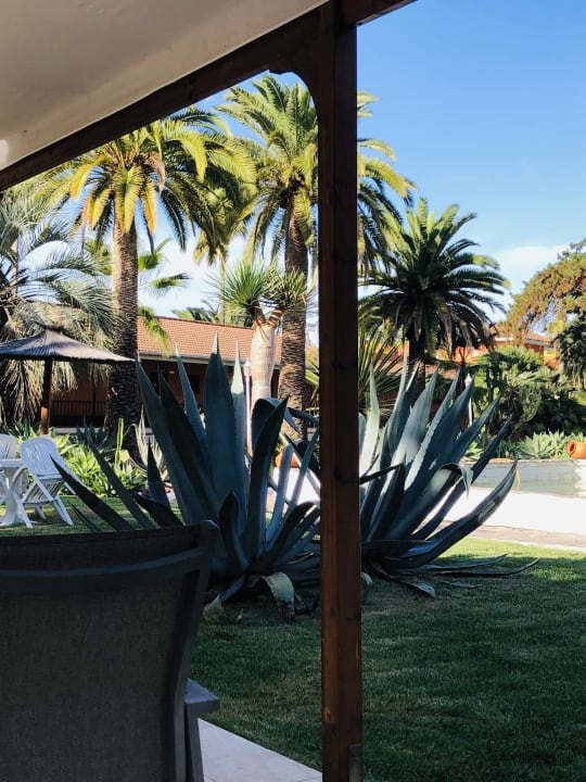 Gartenanlage Apartments Ambassador