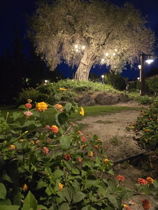 Gartenanlage alltoura Club Hotel Porto Angeli Beach Resort