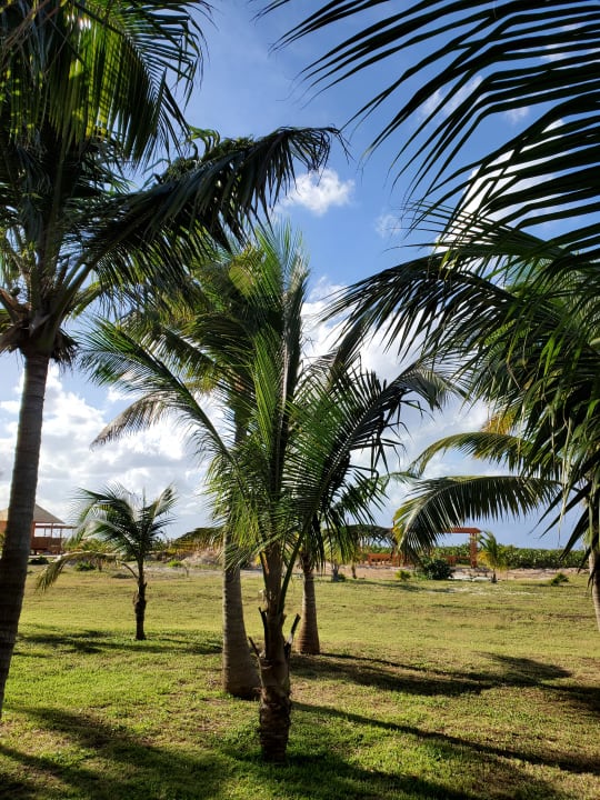 Gartenanlage Meliá Internacional Varadero