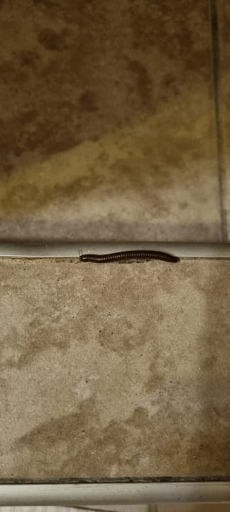 Zimmer Sandy Beach Resort