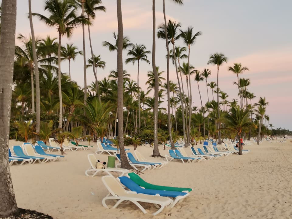 Strand Hotel Riu Palace Macao - Adults only