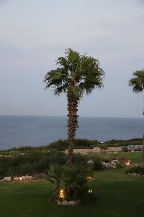 Gartenanlage Hotel Kalithea Horizon Royal