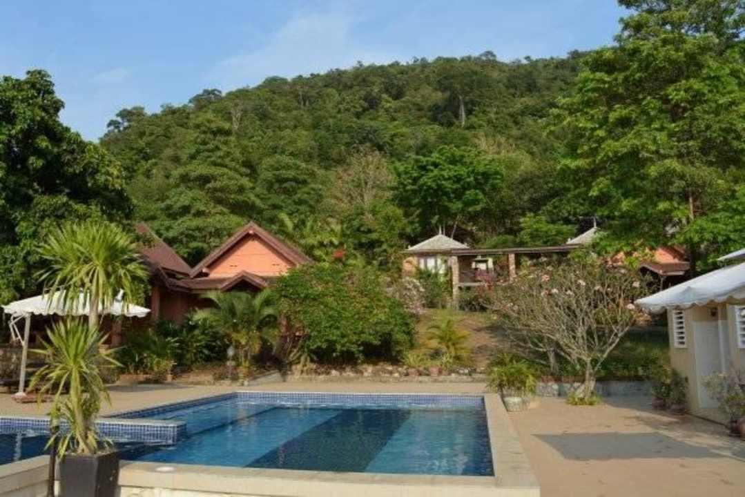 Mitten im "Dschungel" - so scheint es... Pool: top Vanna Hill Resort