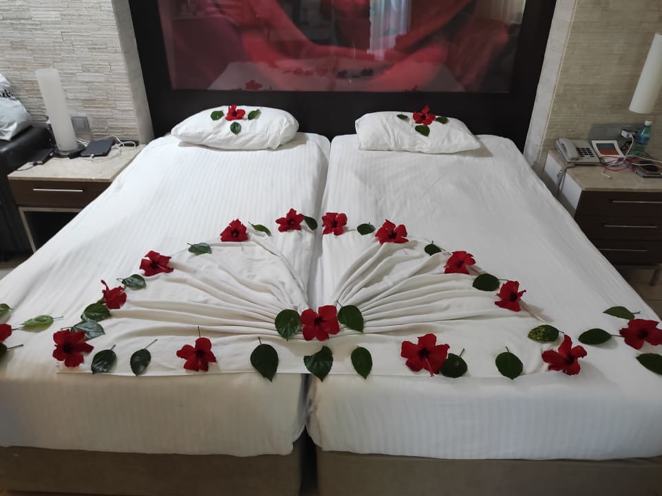 Zimmer Blue Waters Club