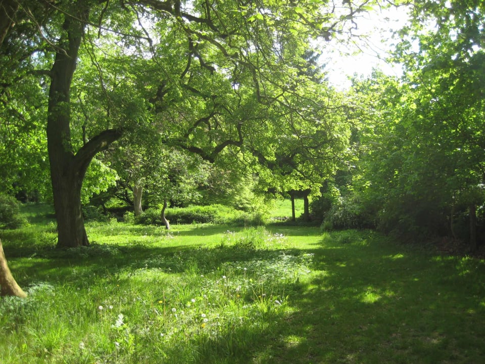 Park mit Zugang zum See Kavaliershaus Suitehotel am Finckener See