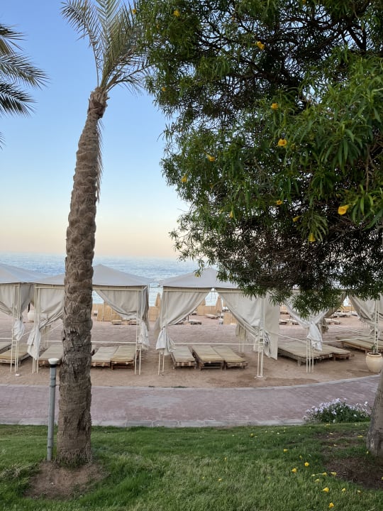 Strand Serenity Alpha Beach