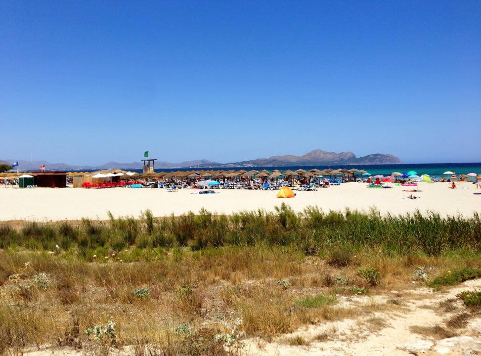 Der Strand von Son Baulo Hotel & Apartments Vista Park