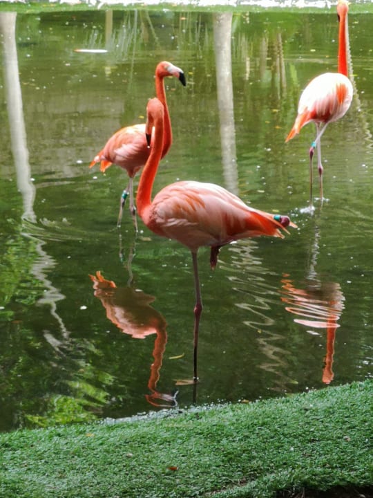 Sonstiges Grand Palladium Kantenah Resort & Spa