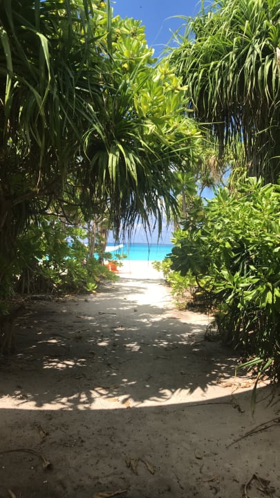 Blick aus dem Bungalow  Hondaafushi Island Resort