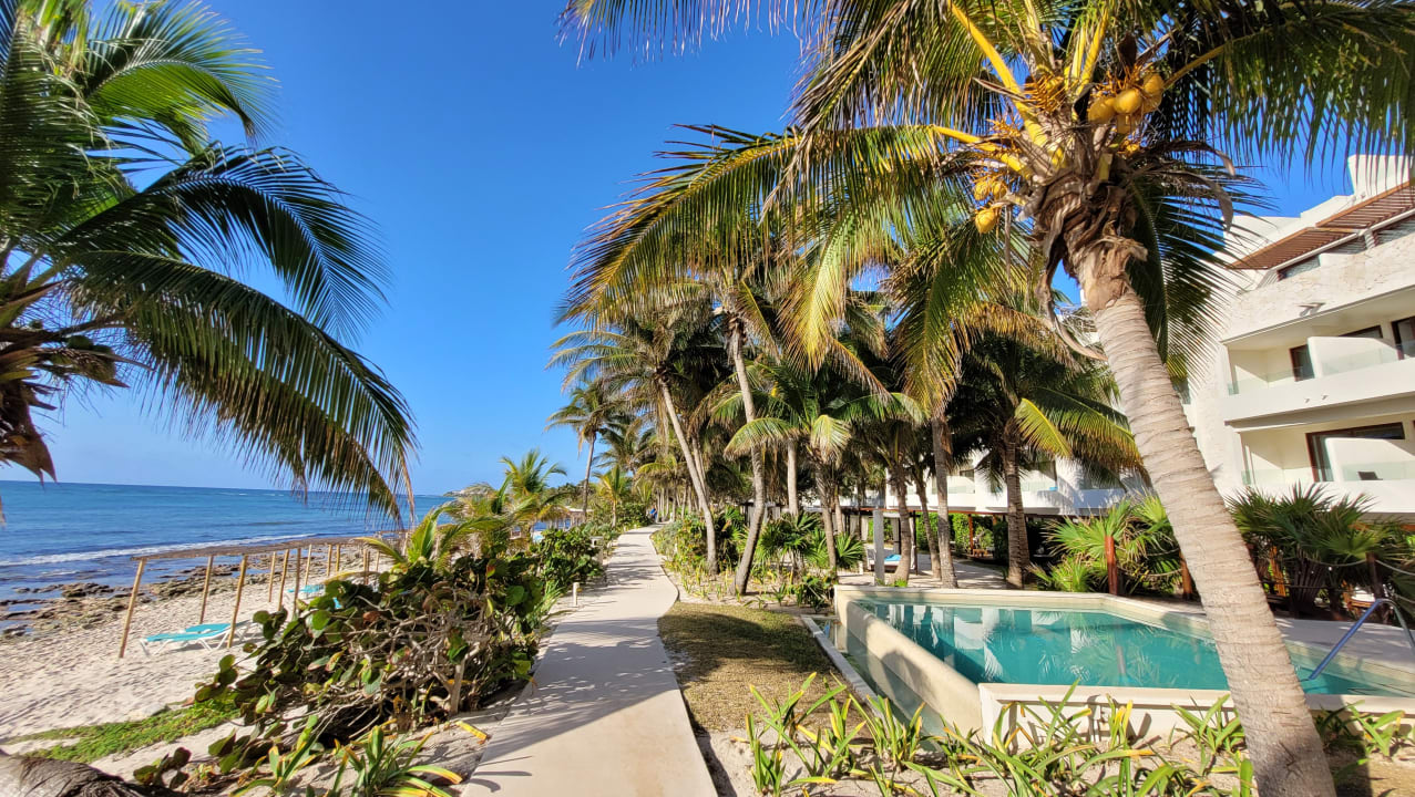 Pool Akumal Bay Beach & Wellness Resort