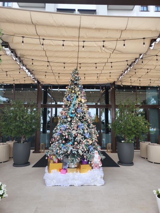 Lobby Vida Beach Resort Umm Al Quwain