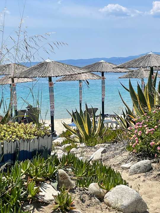 Strand Akrathos Beach Hotel