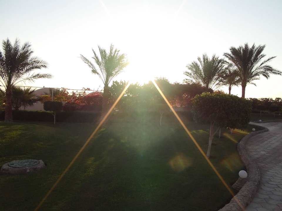 Ogród Three Corners Sea Beach Resort