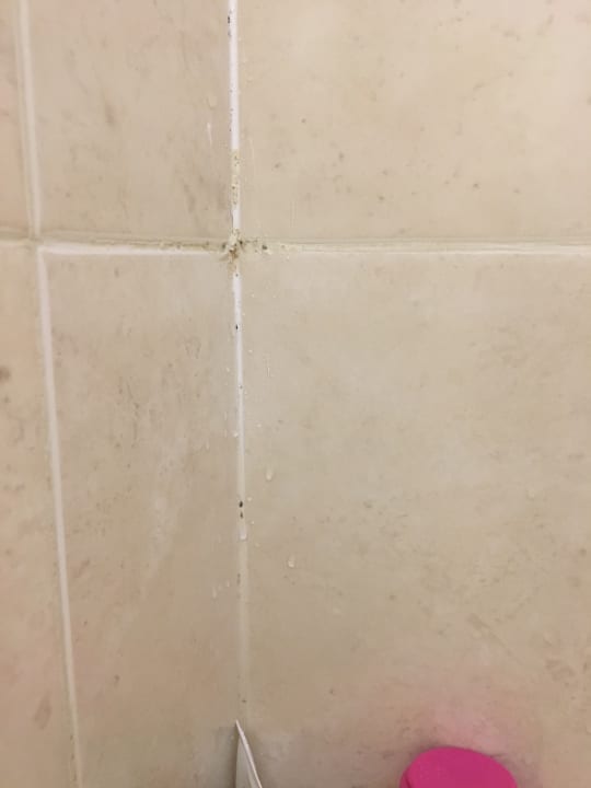 Zimmer Effect Grand Victoria Hotel