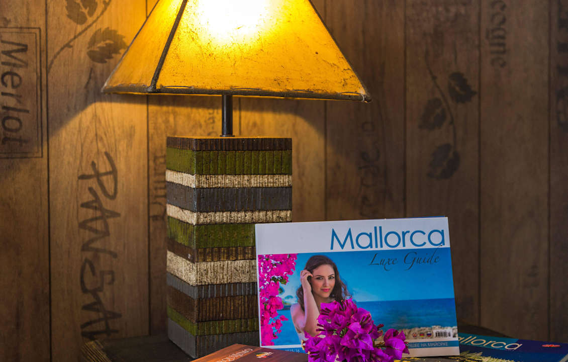 Correlimos 4 El Nido Alaro