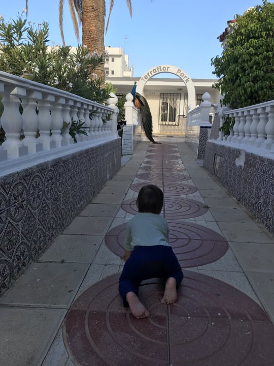 Sonstiges HL Miraflor Suites Hotel