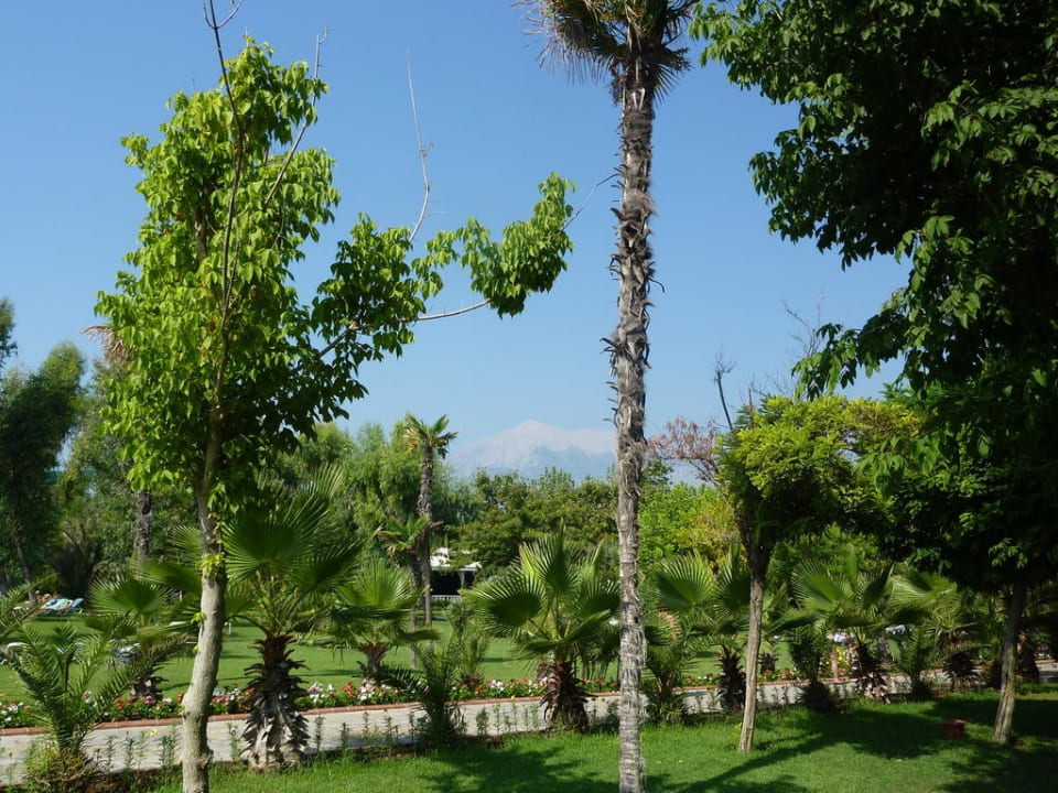 Garten Le Jardin Resort
