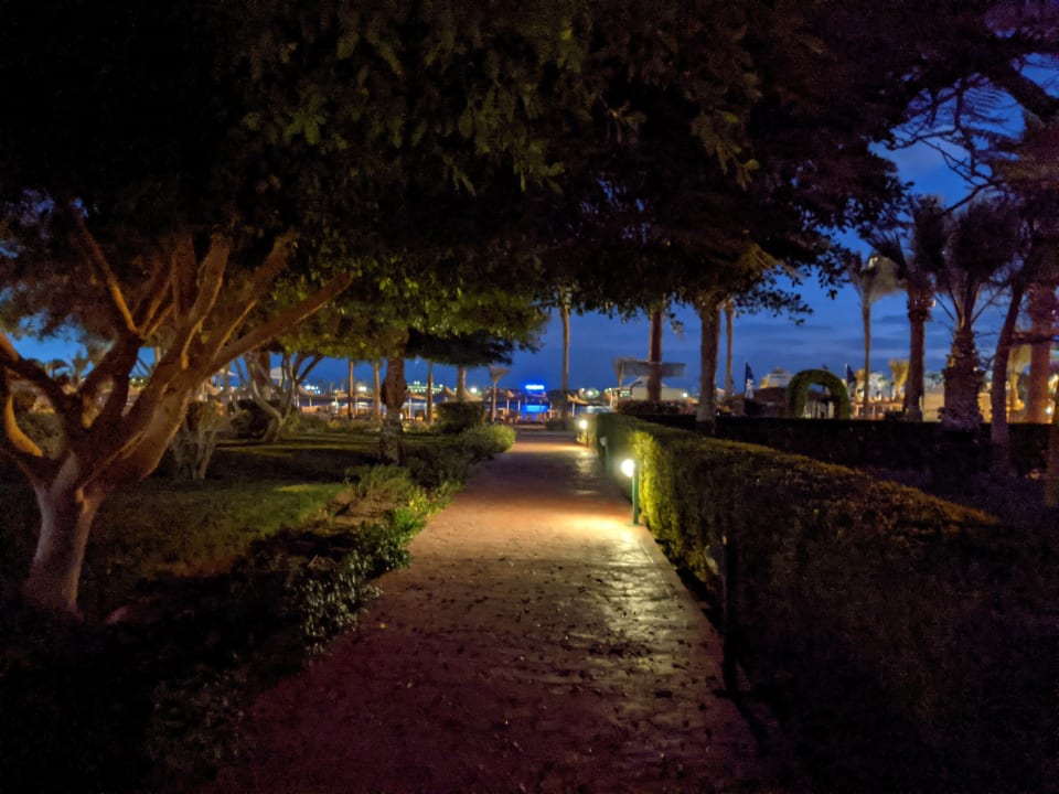 Gartenanlage Desert Rose