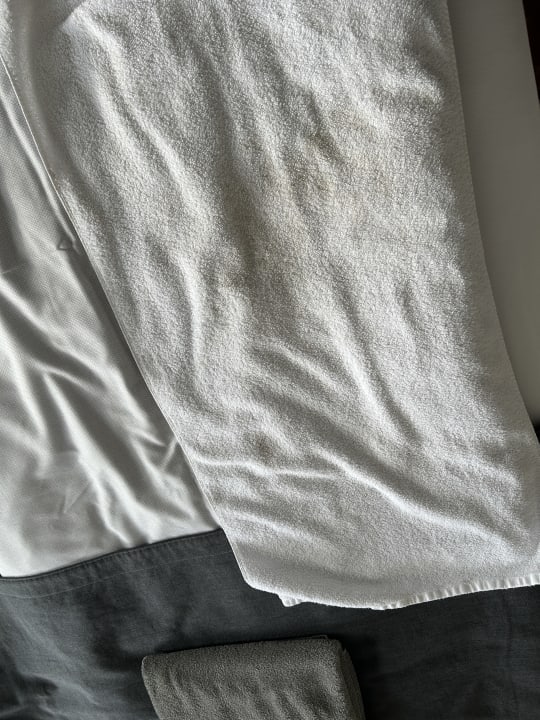 Zimmer Hotel Sächsischer Hof - Hotel Garni