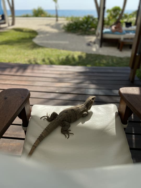 Sonstiges Akumal Bay Beach & Wellness Resort