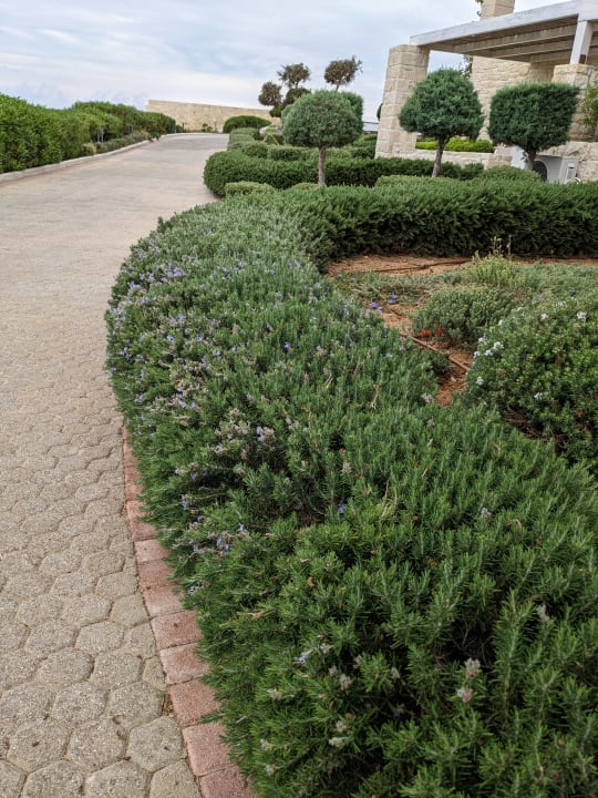 Gartenanlage Hotel Kakkos Bay