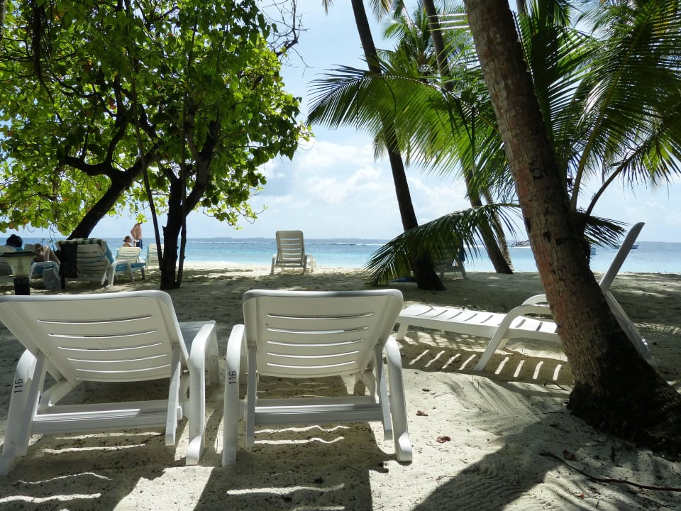 Premium 113 - 120 Fihalhohi Maldives