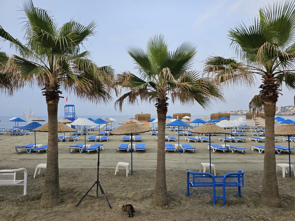 Strand Labranda Lebedos Princess