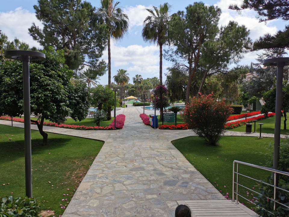 Gartenanlage Arum Barut Collection