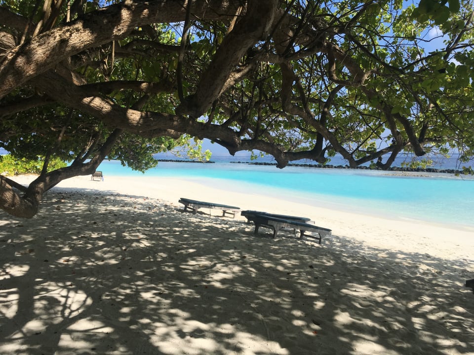 Aussicht Strand nach links Royal Island