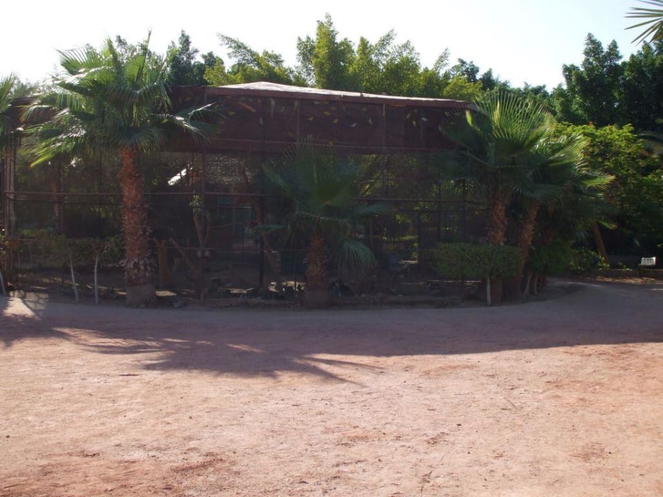 Die Vogelvoliere Giftun Azur Resort