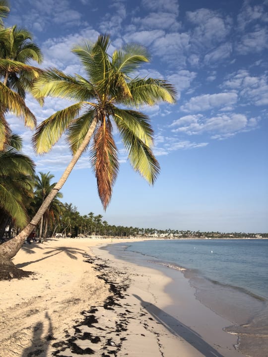 Strand Lopesan Costa Bávaro Resort, Spa & Casino