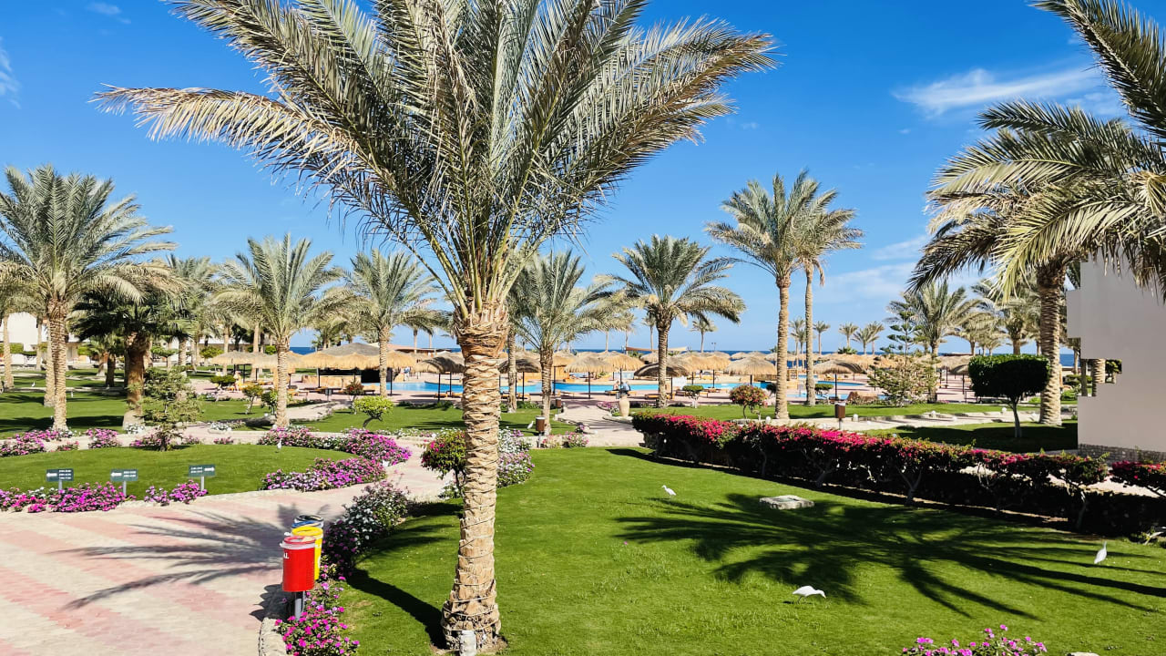 Gartenanlage Three Corners Sea Beach Resort