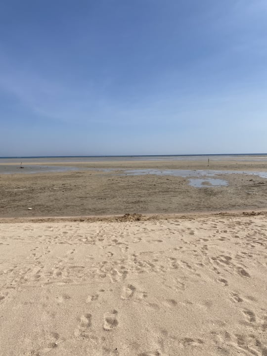 Strand Hotel Titanic Palace