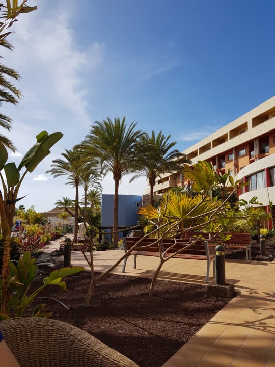 Gartenanlage Iberostar Waves Gaviotas Park