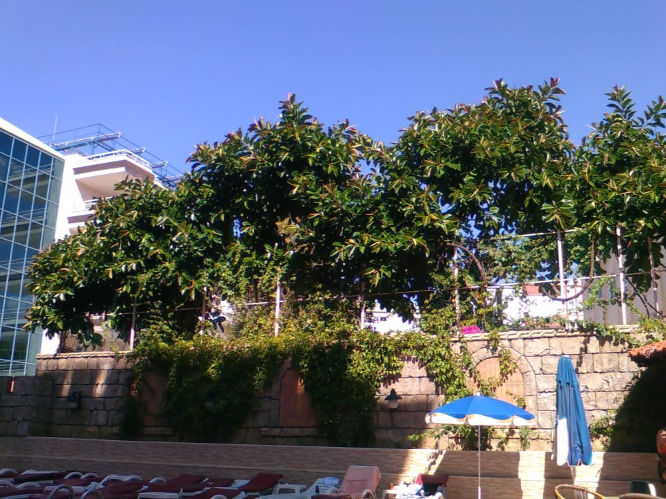 Diamore hotel Hotel Diamore