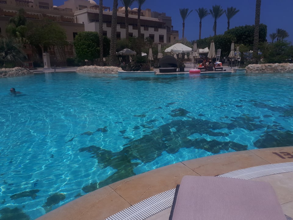 Pool Makadi Spa - Adults only