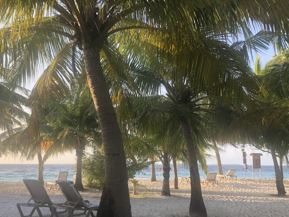 Strand Adaaran Select Meedhupparu Island Resort - Premium All Inclusive