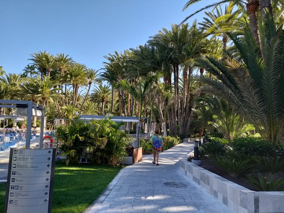 Gartenanlage Hotel Riu Palace Oasis