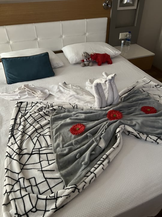 Zimmer Palm World Side Resort & Spa