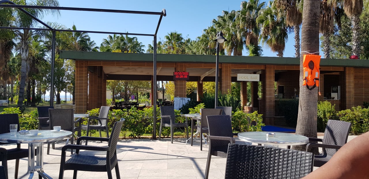 Gartenanlage Royal Atlantis Beach Hotel